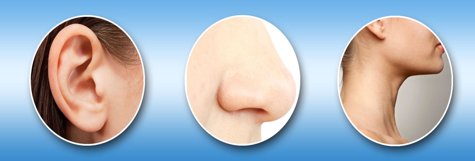 the ear, nose, and throat representing ENT healthcare and treatment services.