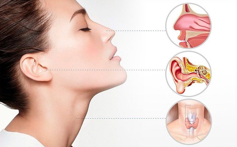 Close-up view of a woman’s face with focus on ear, nose, and throat anatomy related to ENT care.