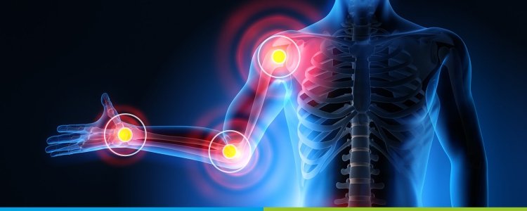 Medical illustration showing highlighted shoulder, elbow, and wrist joints for orthopaedic and joint health care.